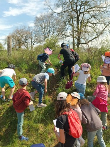 489685651_122146472984478916_7873954147164336676_n