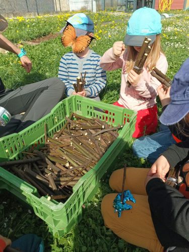 490193670_122146472480478916_3919544750296822541_n